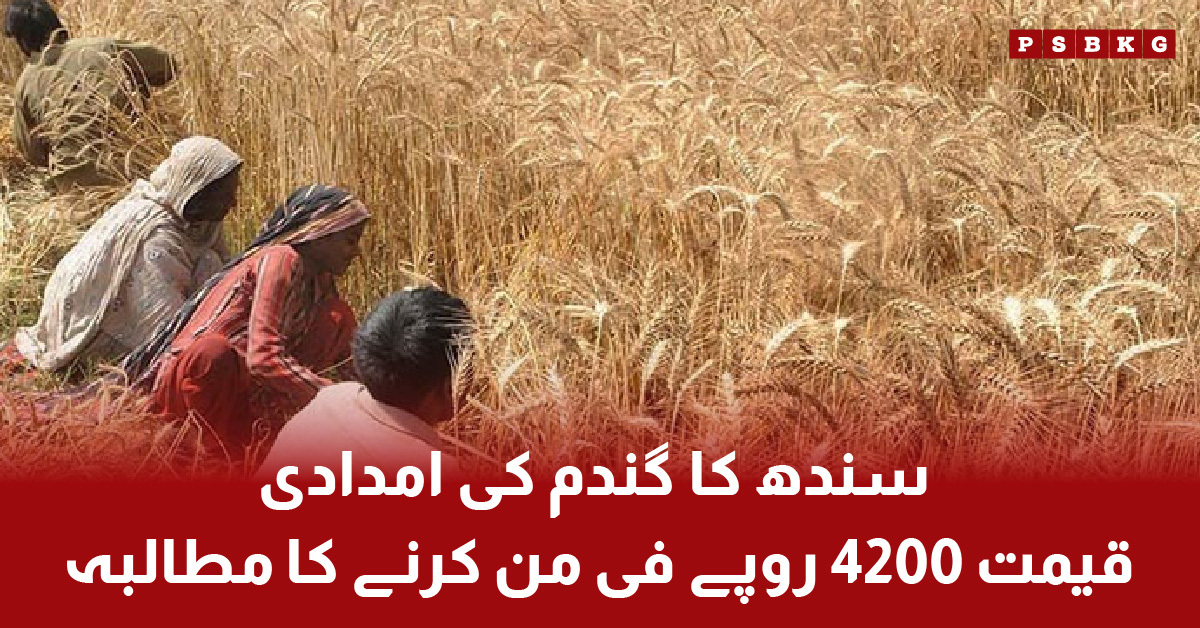 Sindh government demands to set wheat support price at 4200 rupees per maund