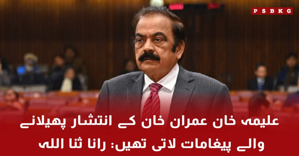 Rana Sanaullah accuses Aleema Khan of spreading messages of unrest