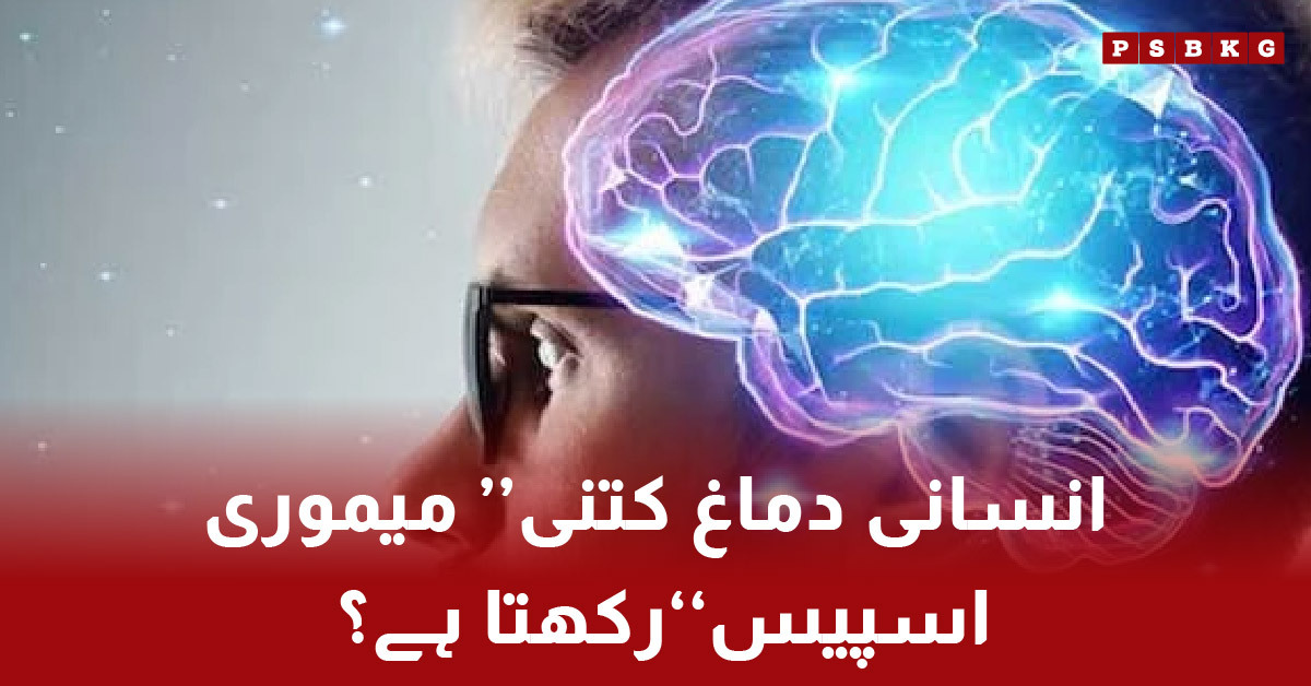 Human brain memory capacity