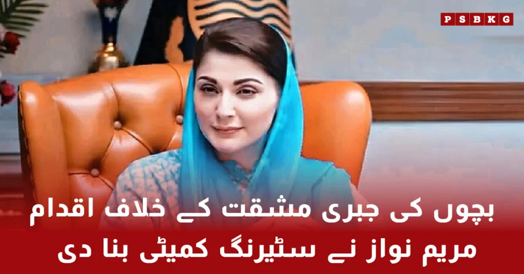 Punjab government steering committee to end child labour