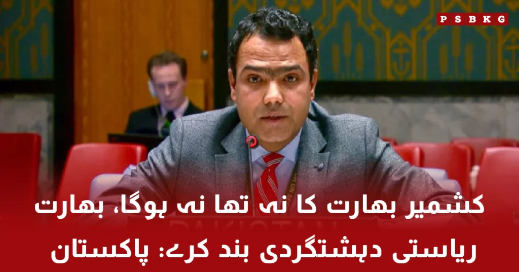 Pakistani Consular briefing at UN on Kashmir issue