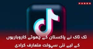 TikTok launches self-service advertising platform for small businesses in Pakistan