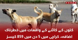 Rising dog bite cases in Karachi
