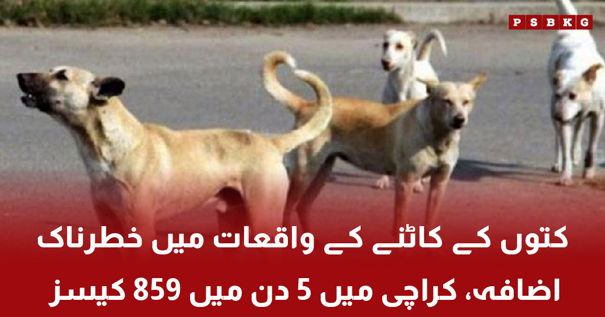 Rising dog bite cases in Karachi