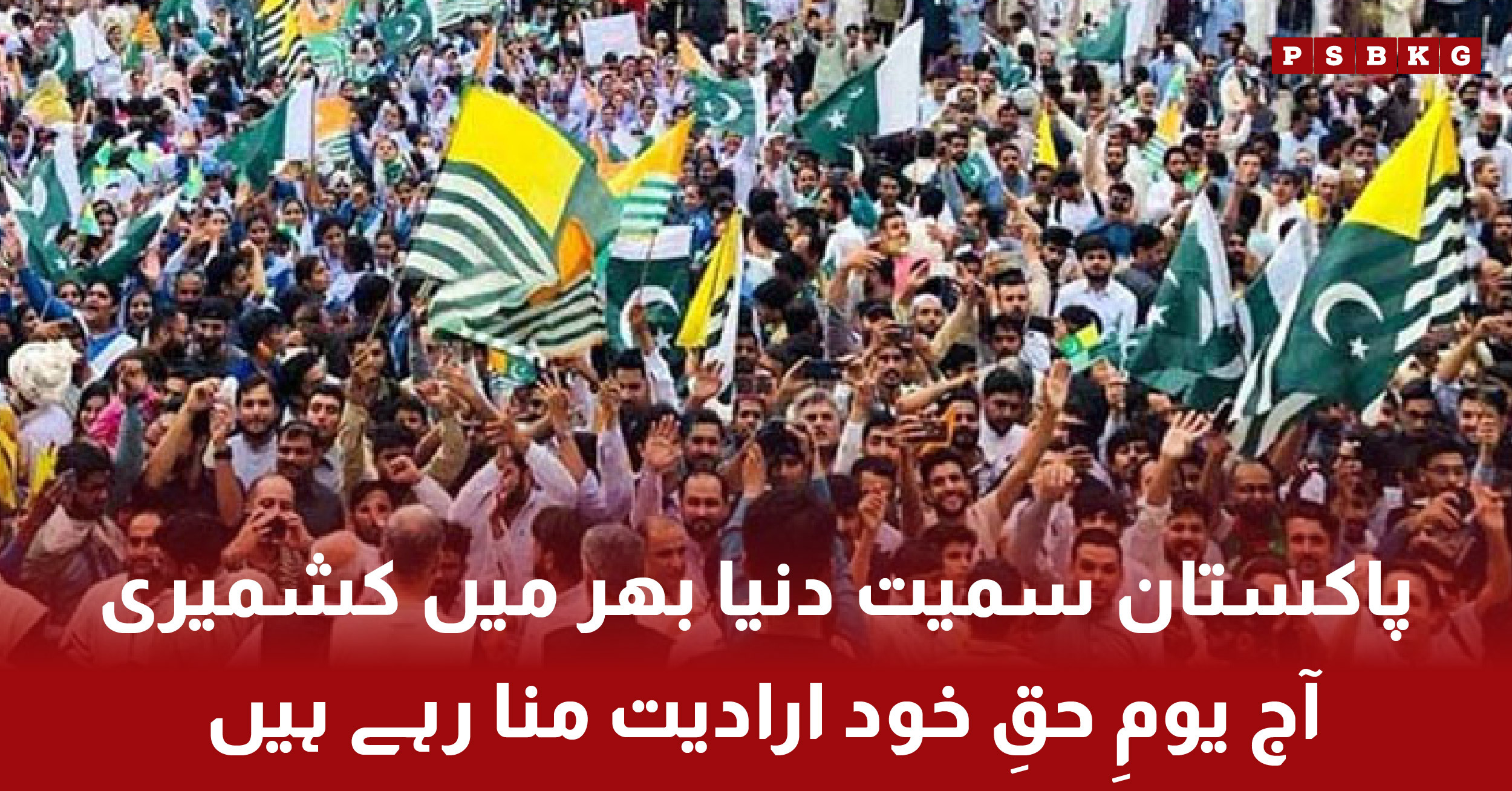 Kashmiris observe Right to Self-Determination Day worldwide