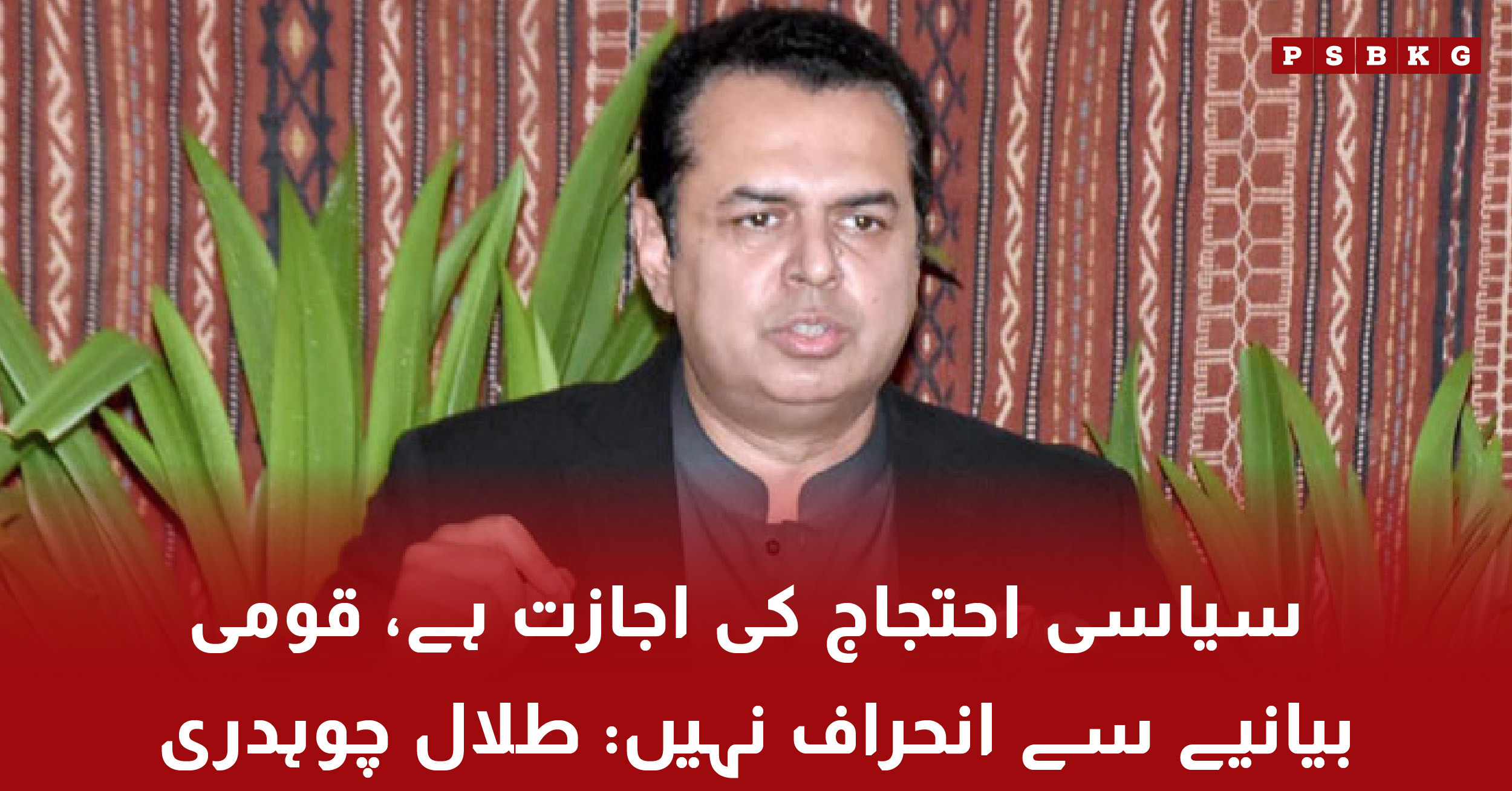 Talal Chaudhry warns against deviation from national narrative
