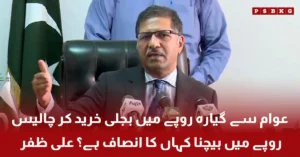 Senator Ali Zafar speaking about Nepra net billing decision