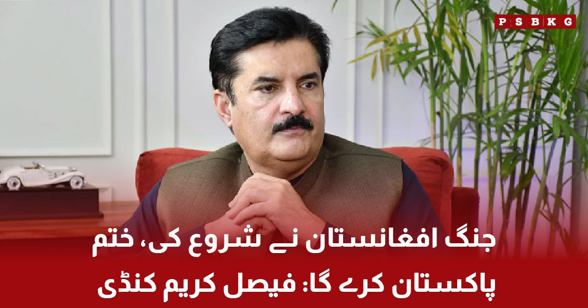 Faisal Karim Kundi statement on Afghanistan and Pakistan tensions