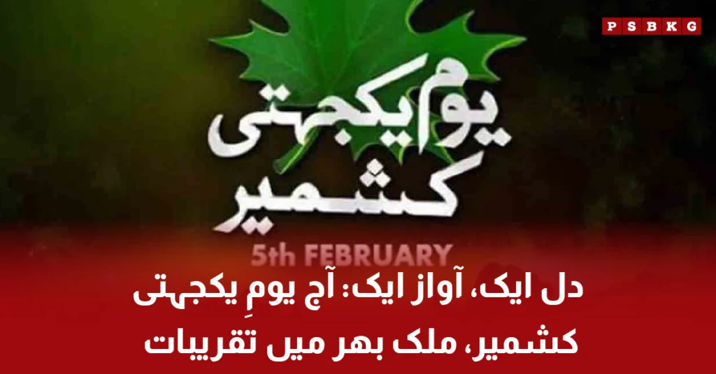 People celebrating Kashmir Solidarity Day in Pakistan