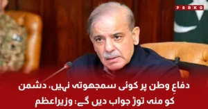 Prime Minister Shehbaz Sharif statement on defence of Pakistan