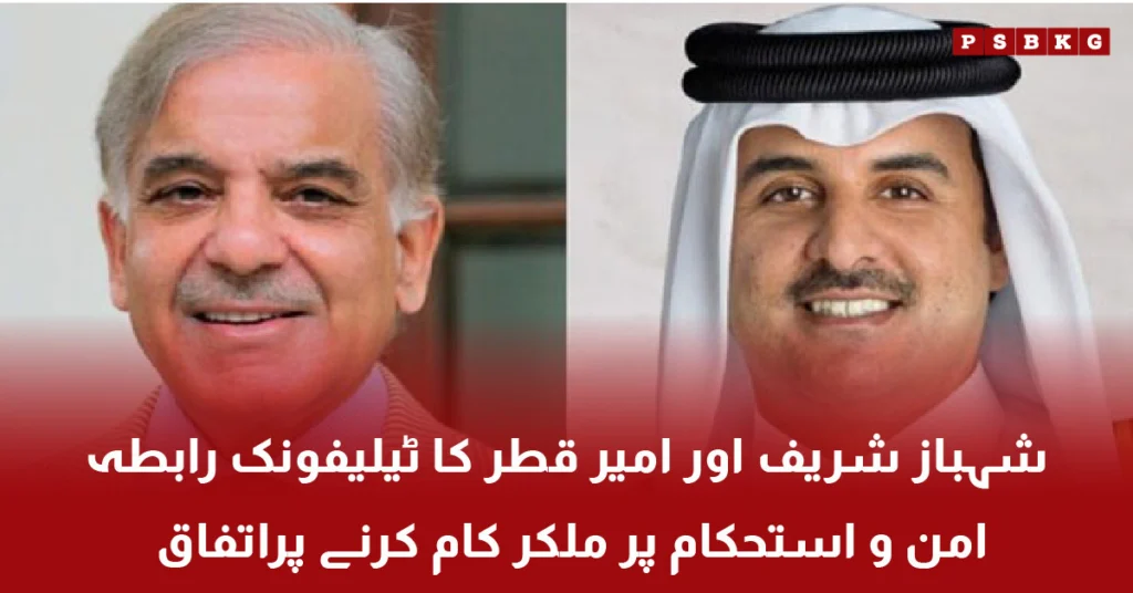 Shehbaz Sharif and Qatar Emir Tamim bin Hamad during diplomatic engagement