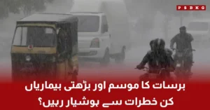 Health risks during monsoon season with mosquitoes and rain