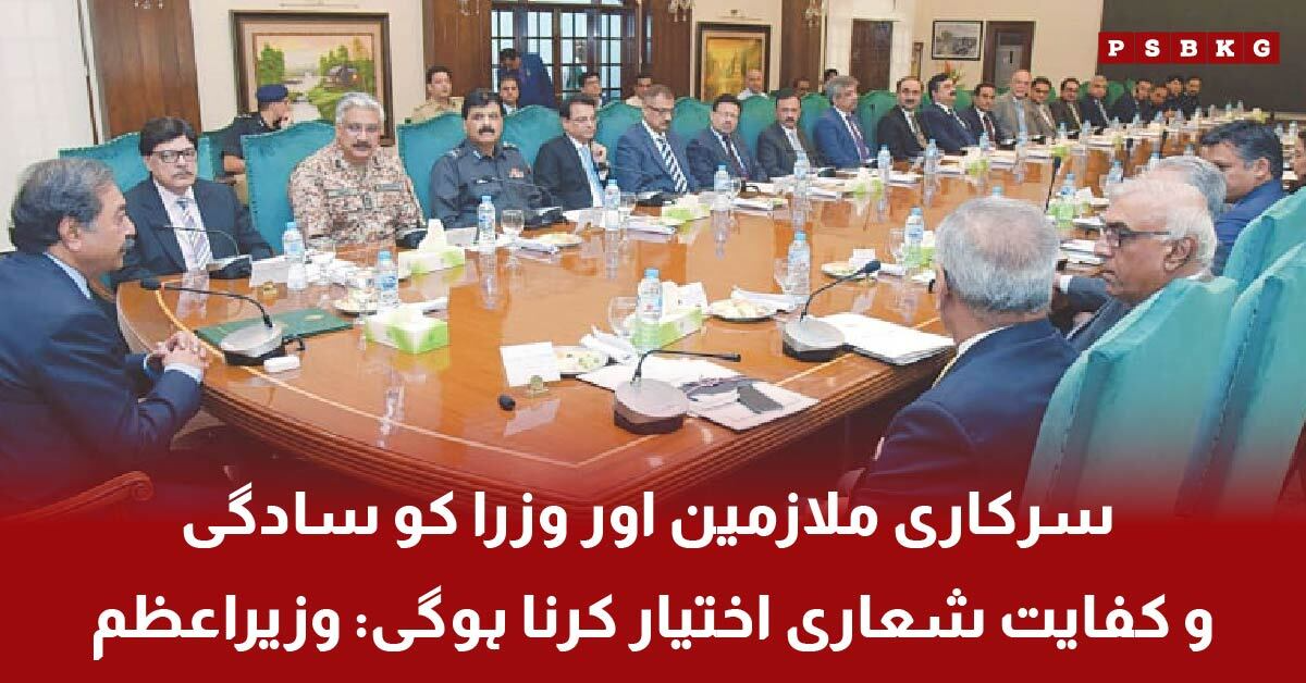Prime Minister Shehbaz Sharif presiding over the economic stability meeting