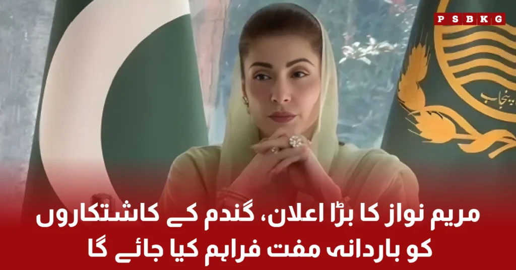 Free wheat bags support for farmers in Punjab