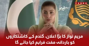 Free wheat bags support for farmers in Punjab