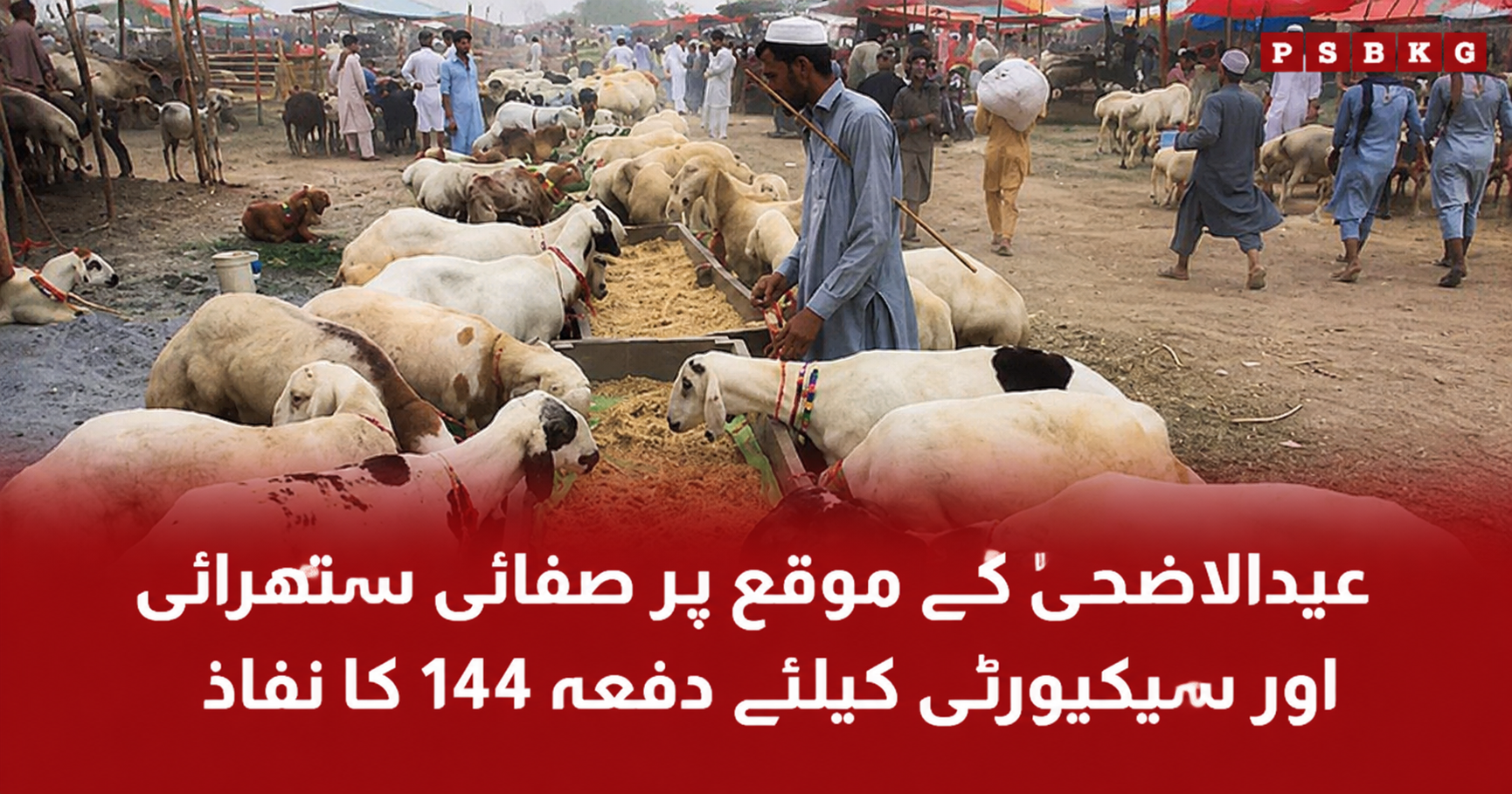 Punjab government imposing Section 144 during Eid ul Adha for cleanliness security and public safety measures