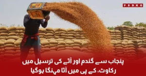 KPK flour price increase due to Punjab wheat supply issue