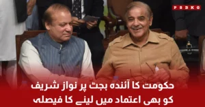 Government consultation meeting with Nawaz Sharif regarding Pakistan budget 2026