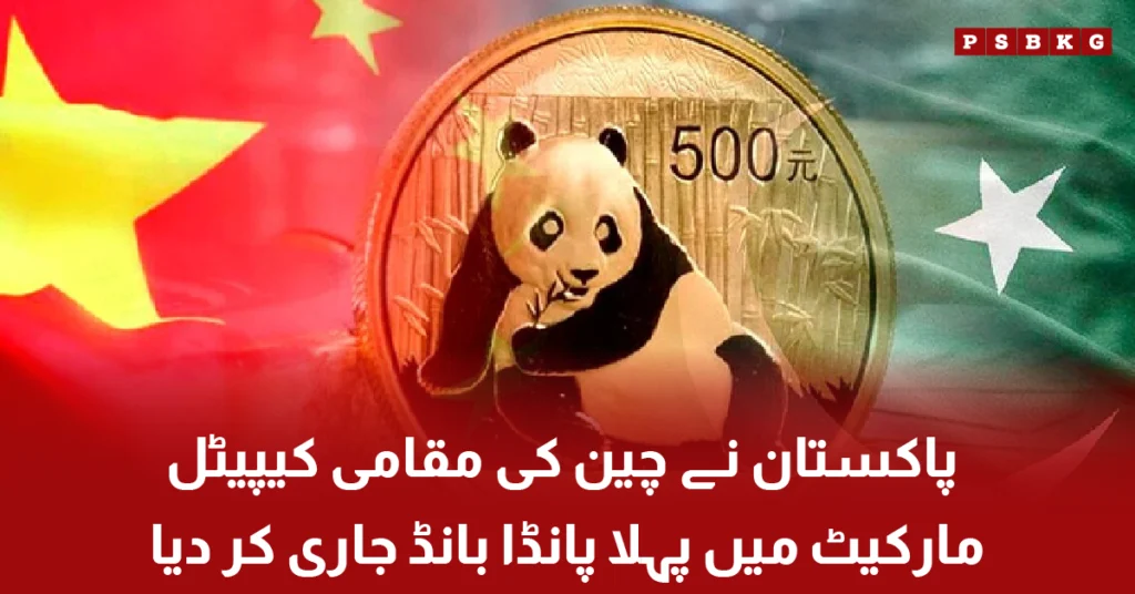 Pakistan issues first Panda Bond in China capital market