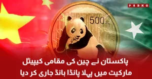Pakistan issues first Panda Bond in China capital market