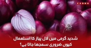 Benefits of red onion in hot weather summer health tips