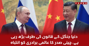 Xi Jinping and Vladimir Putin meeting in Beijing discussing global order and international relations warning about world instability
