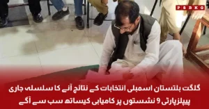 Gilgit Baltistan Assembly election results and voting process