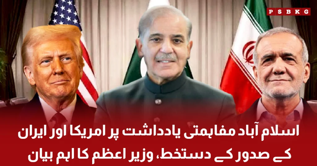 Pakistan diplomatic efforts regional peace statement PM Shehbaz Sharif