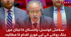 Pakistan representative addressing UN Security Council on Lebanon ceasefire and regional peace efforts