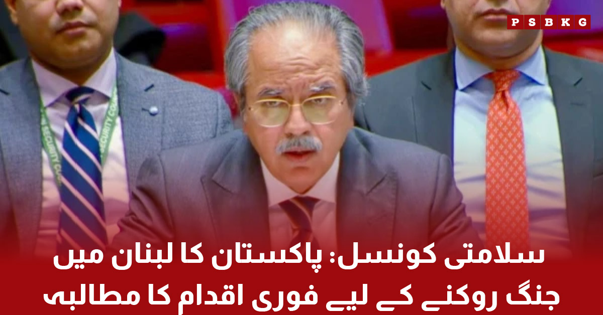 Pakistan representative addressing UN Security Council on Lebanon ceasefire and regional peace efforts