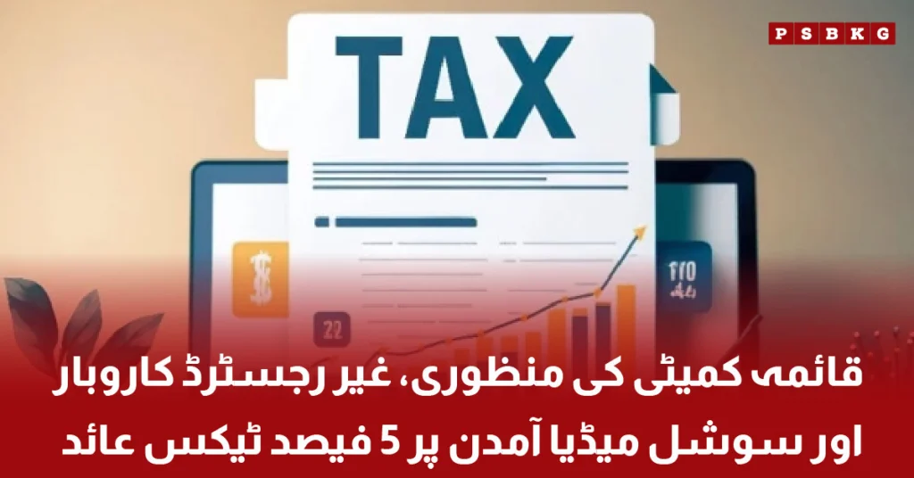 Finance committee approves tax on social media income and unregistered businesses Pakistan