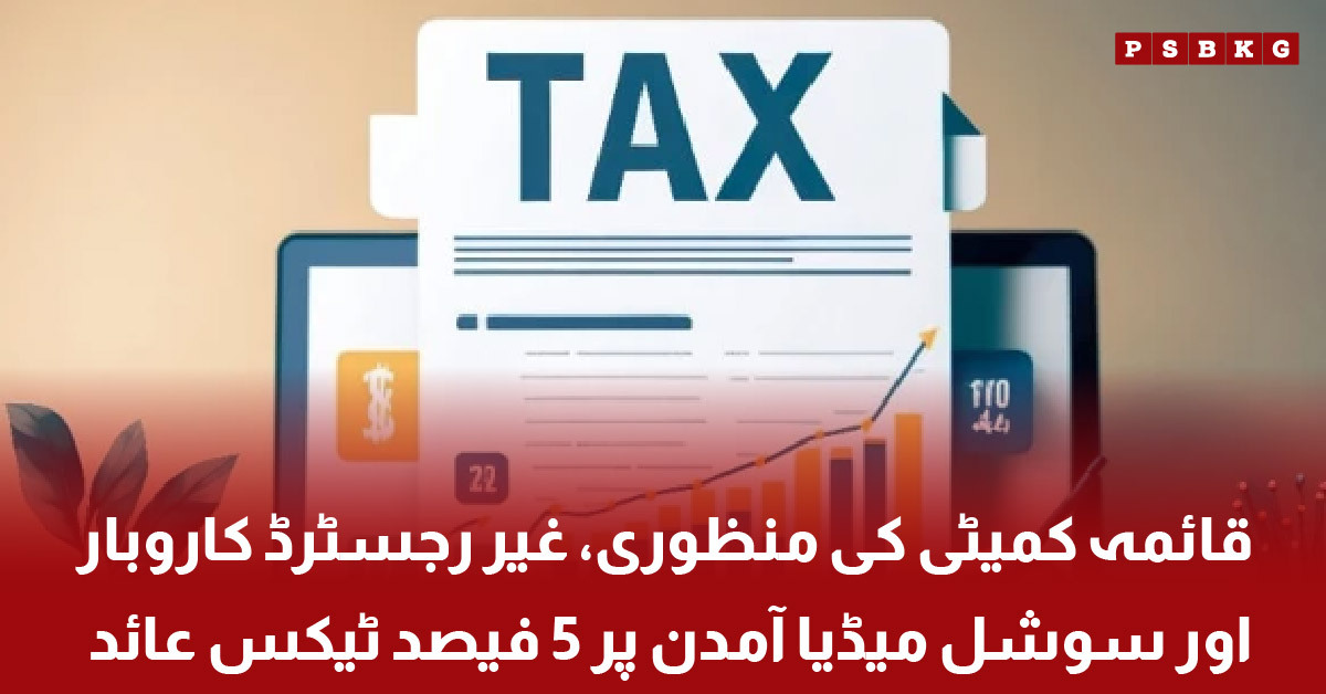 Finance committee approves tax on social media income and unregistered businesses Pakistan