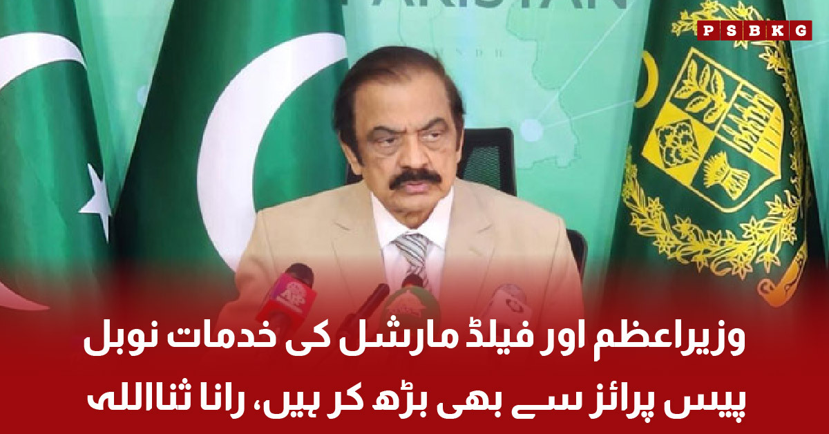 Rana Sanaullah speaking to media about diplomacy and regional peace