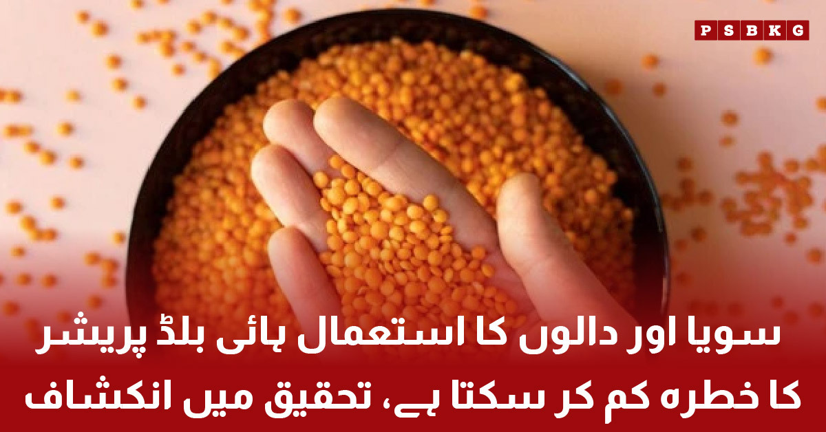 soy beans and lentils healthy diet illustration