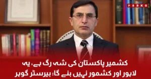 Barrister Gohar Ali Khan addressing the media while speaking about Pakistan's stance on the Kashmir issue and national unity.