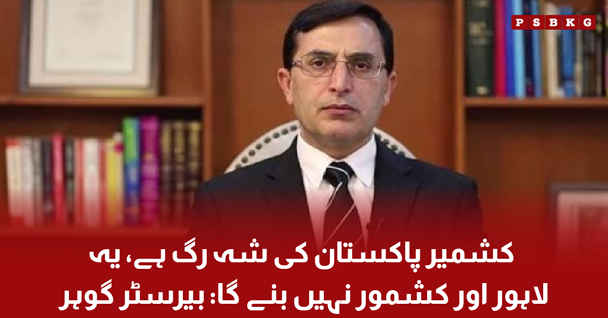 Barrister Gohar Ali Khan addressing the media while speaking about Pakistan's stance on the Kashmir issue and national unity.