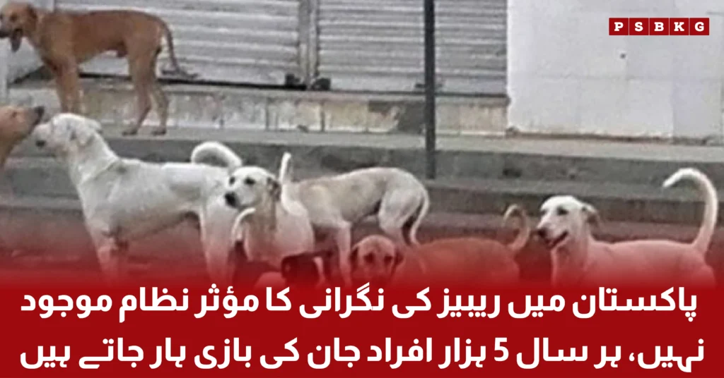 Healthcare professionals highlighting the lack of an effective rabies surveillance system in Pakistan and the importance of prevention.