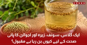 Saunf Zeera Ajwain Water Health Benefits