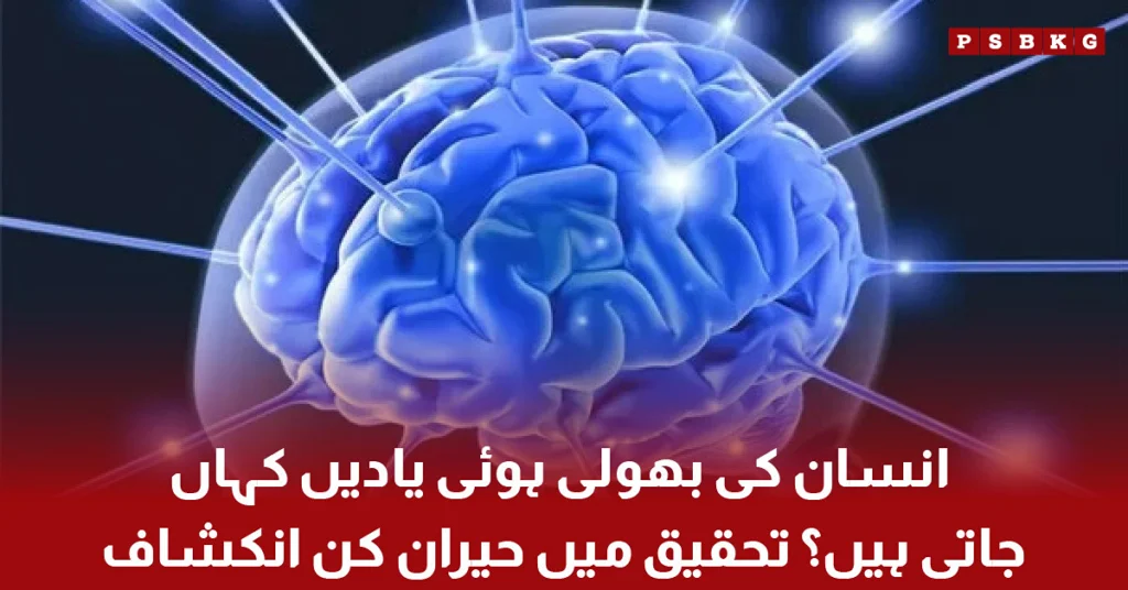 Insan ki bhooli hui yaadon ke bare mein sainsi tehqeeq