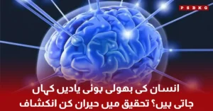 Insan ki bhooli hui yaadon ke bare mein sainsi tehqeeq