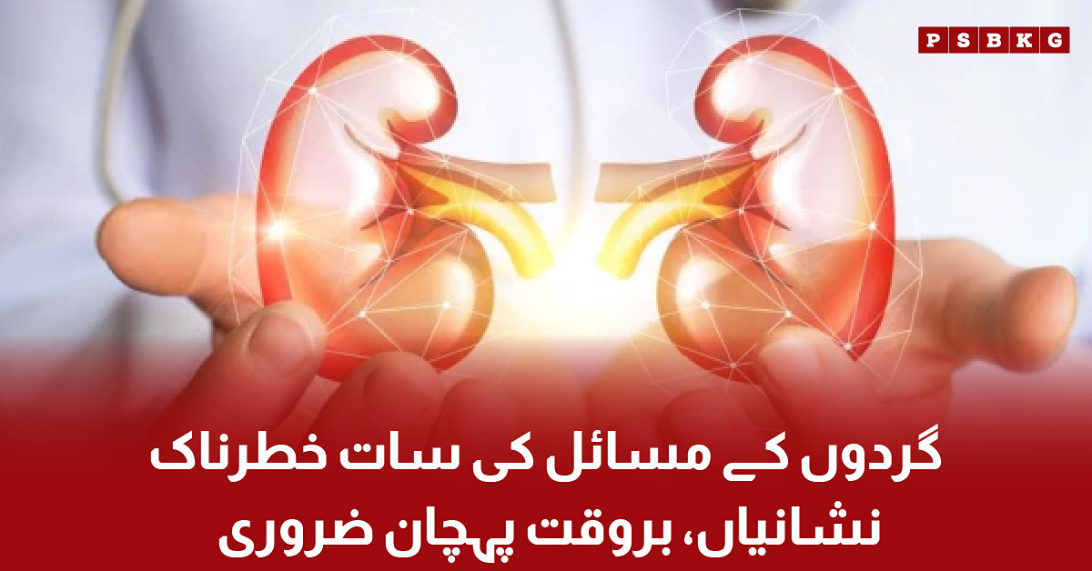 Seven warning signs of kidney problems