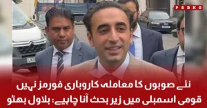 Image Alt Text: Bilawal Bhutto Zardari speaks about discussing new provinces in National Assembly