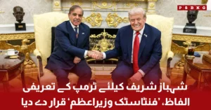 Donald Trump praises Pakistani Prime Minister Shehbaz Sharif during a meeting and calls him fantastic