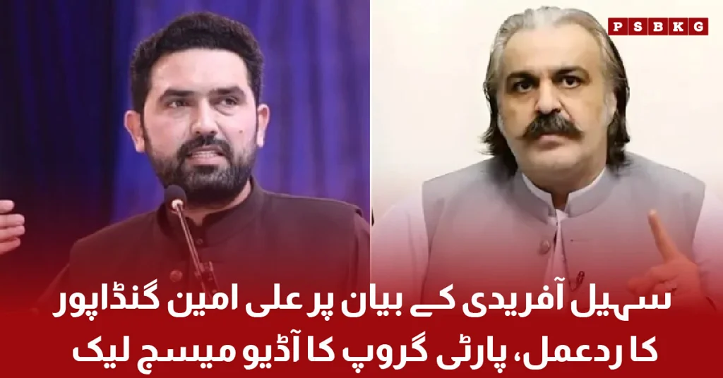 Ali Amin Gandapur Reacts to Sohail Afridi’s Statement